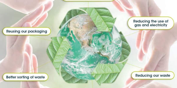 A more sustainable company policy based on ISO 14001